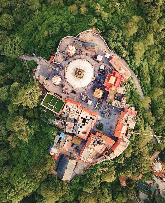 swayambhu-birdv