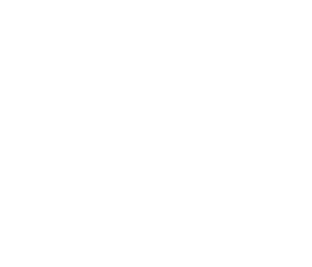 logo-icon-inverse